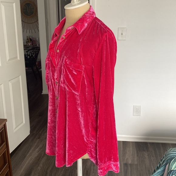 Anthropologie Pilcro Velvet Buttdown - Picture 6 of 8